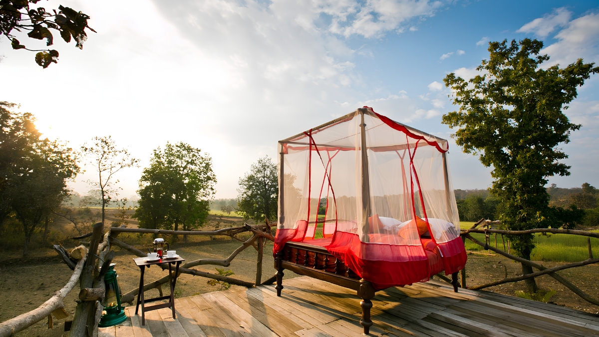 Jamtara Wilderness Camp, Pench